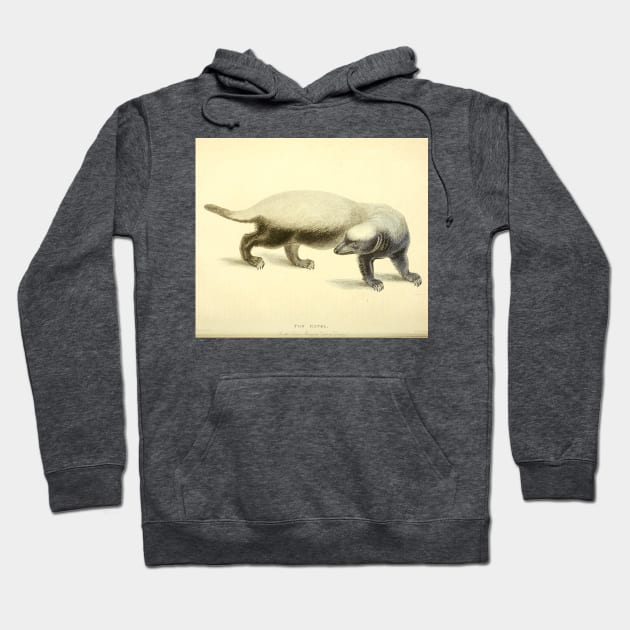 Honey Badger Hoodie by Amanda1775